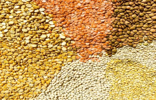 daal