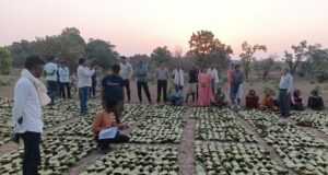 साय सरकार के सुशासन में तेन्दूपत्ता संग्राहकों को मिली आर्थिक मजबूती, 10,160 हितग्राहियों के खातों में पहुँची 1.39 करोड़ रुपये से अधिक की बोनस राशि….