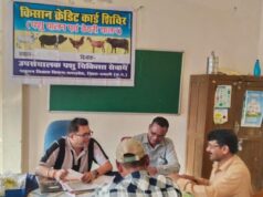 पशुपालन केसीसी से धमतरी के 93 पशुपालकों को मिली 98.62 लाख की वित्तीय संजीवनी, ग्रामीण आजीविका को मिली नई उड़ान…..