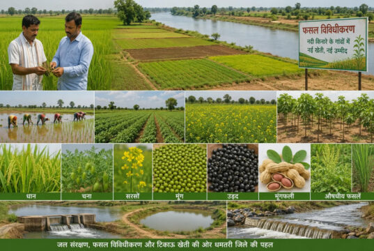 नदी किनारे के 152 गांवों में बदलेगा खेती का गणित, धान के साथ बढ़ेंगे आय के नए विकल्प….